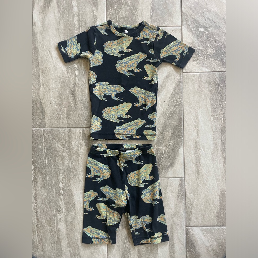 Tea Collection Frog Print Pajama Set - Black and Green